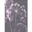 SOFT MOS růžový - obdélník | 80x150